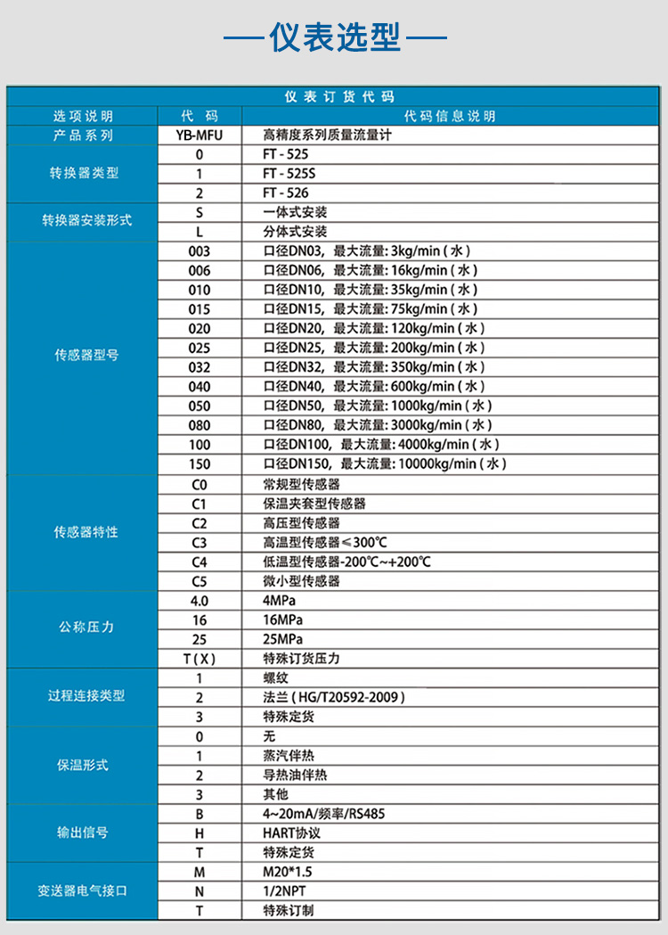 柴油質(zhì)量流量計選項表