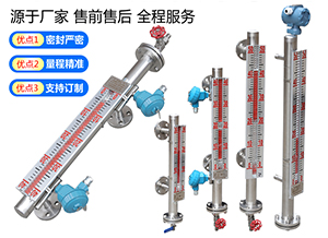 真空磁翻板液位計